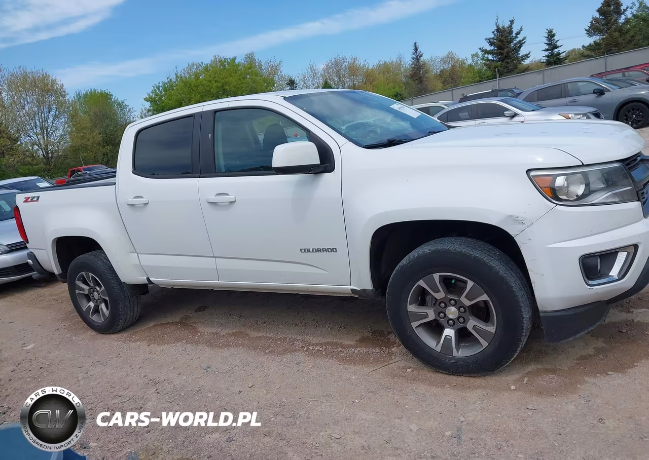 2016 Chevrolet Colorado Z71 VIN:1GCGTDE30G1391364 - 13