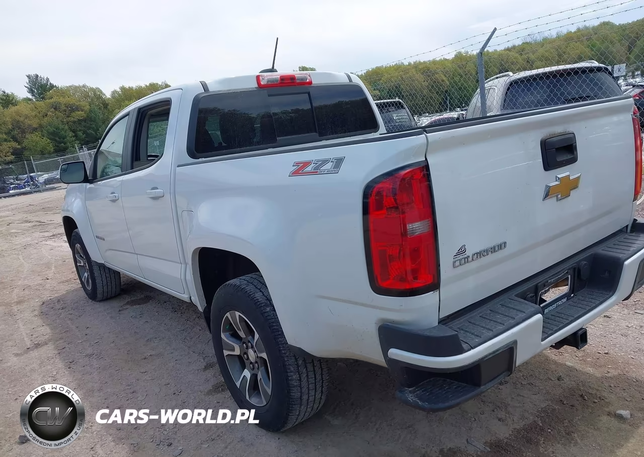 2016 Chevrolet Colorado Z71 VIN:1GCGTDE30G1391364 - 3