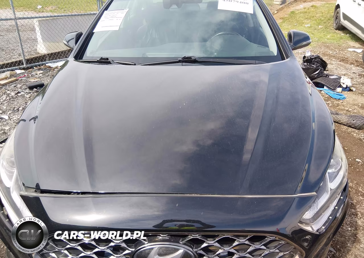 2019 Hyundai Sonata Sel VIN:5NPE34AFXKH747473 - 10