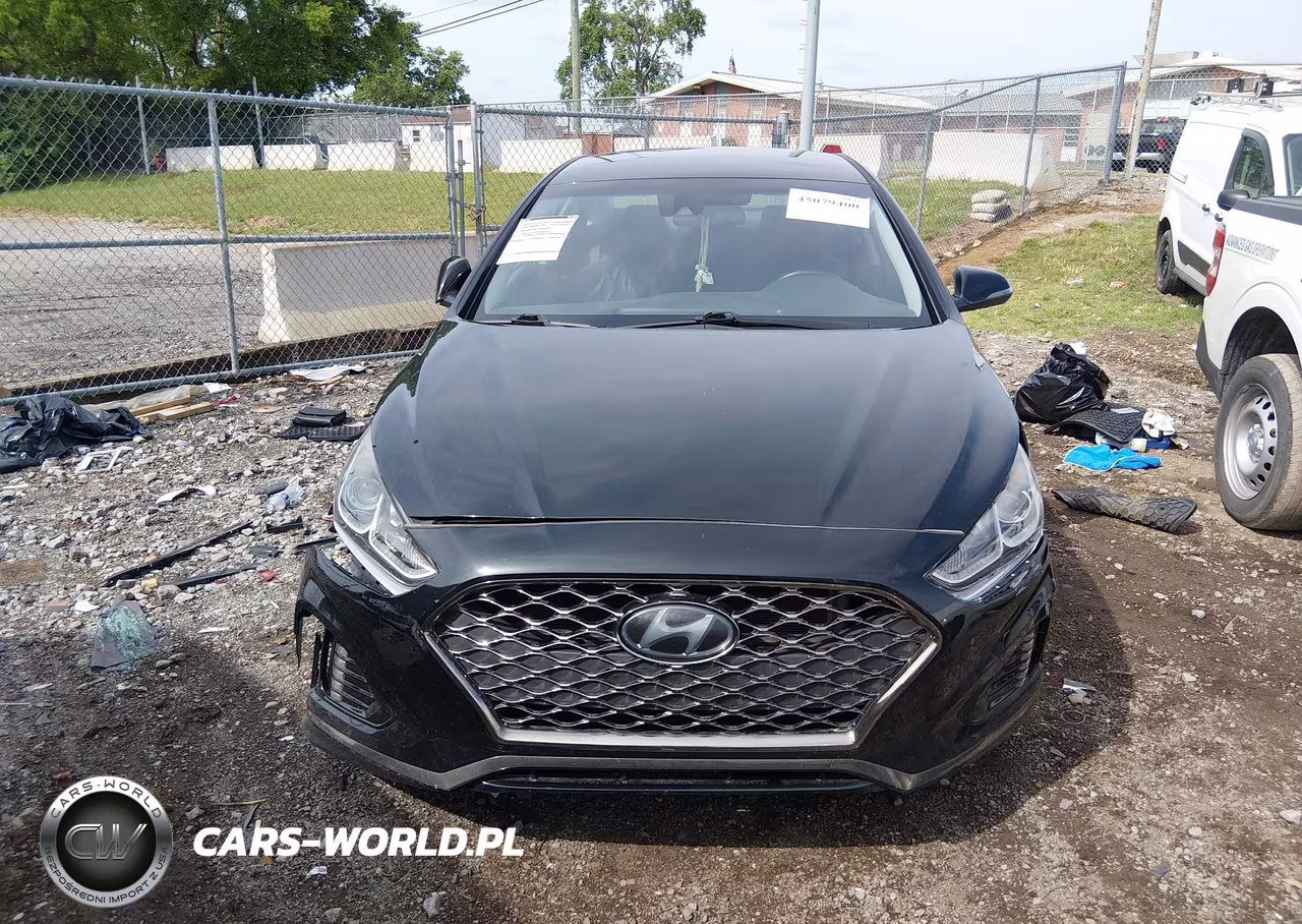 2019 Hyundai Sonata Sel VIN:5NPE34AFXKH747473 - 12