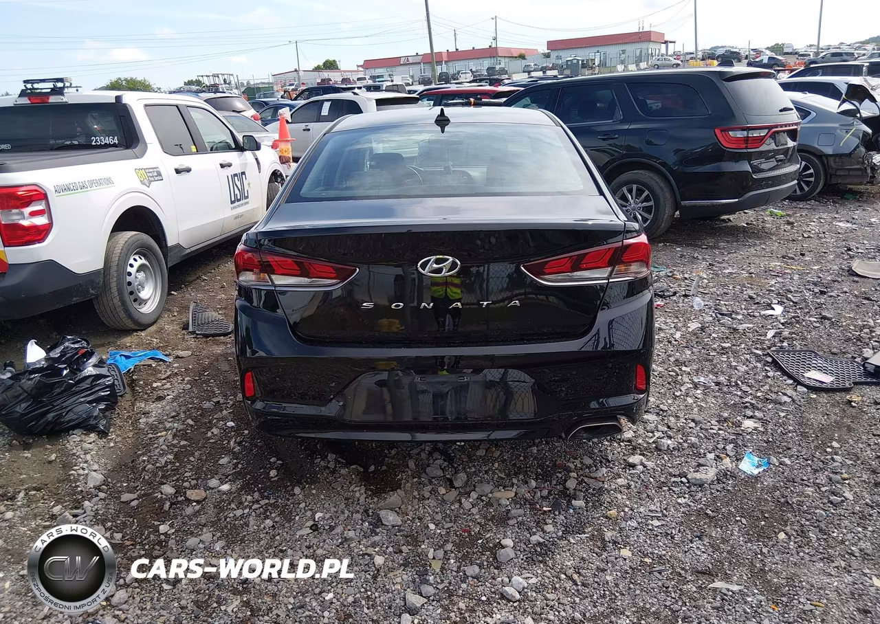 2019 Hyundai Sonata Sel VIN:5NPE34AFXKH747473 - 16