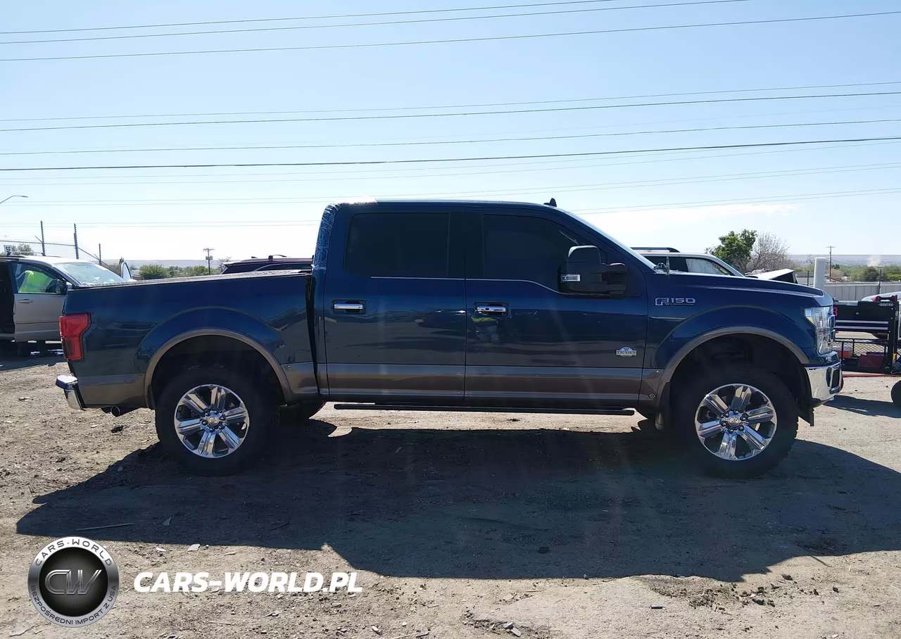 2019 Ford F-150 King Ranch VIN:1FTEW1E53KFA26641 - 13