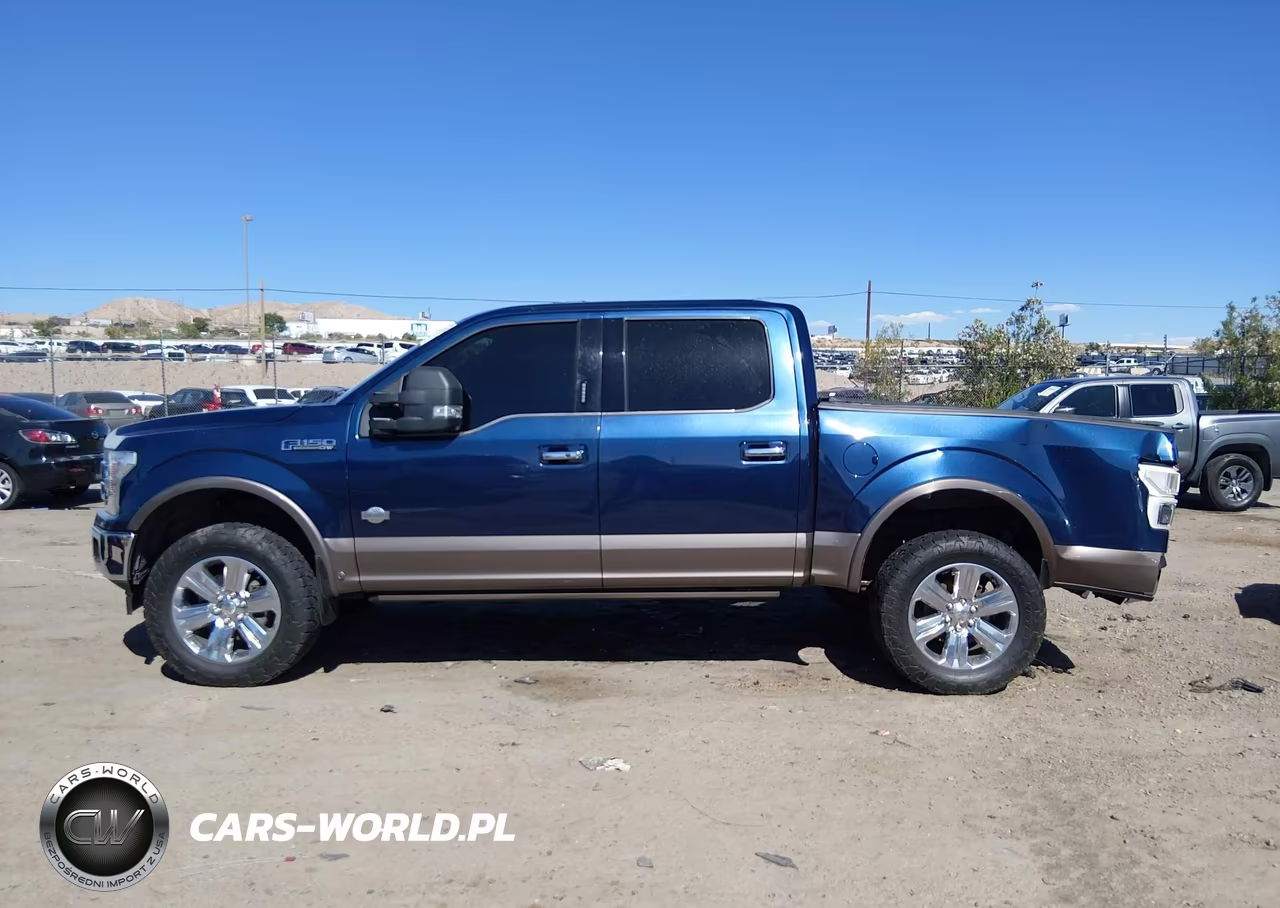 2019 Ford F-150 King Ranch VIN:1FTEW1E53KFA26641 - 14
