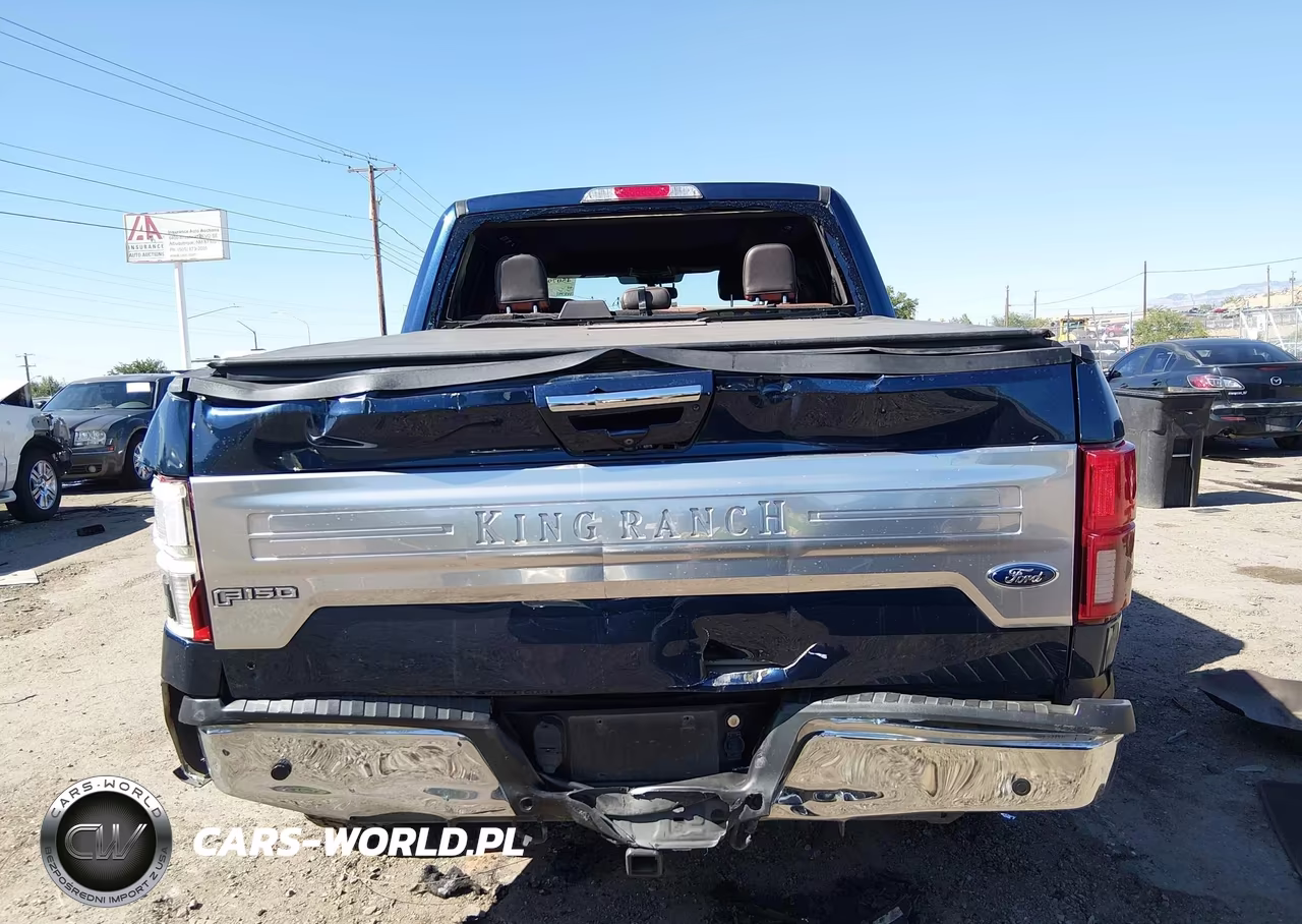 2019 Ford F-150 King Ranch VIN:1FTEW1E53KFA26641 - 16