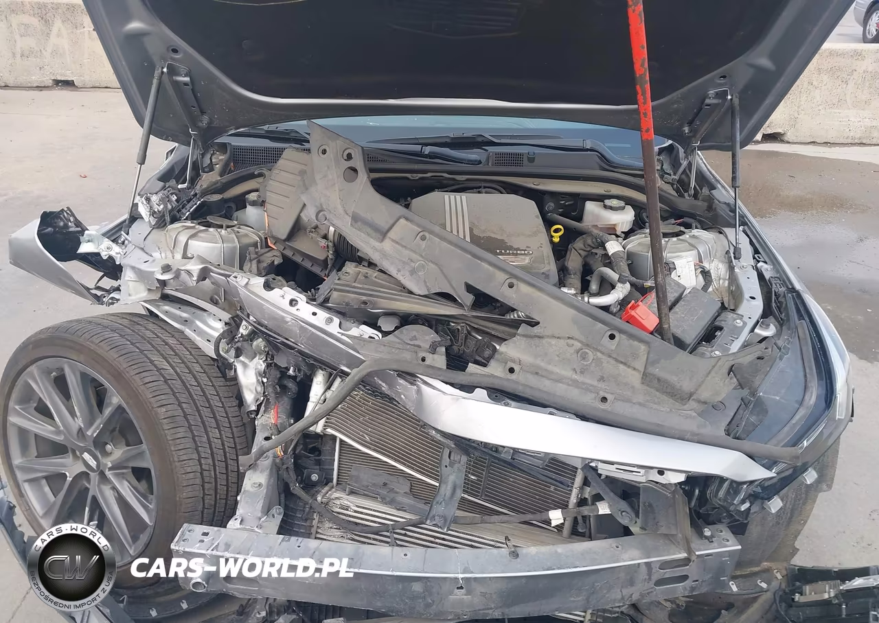 2024 Cadillac Ct5 Sport VIN:1G6DP5RK9R0128624 - 10