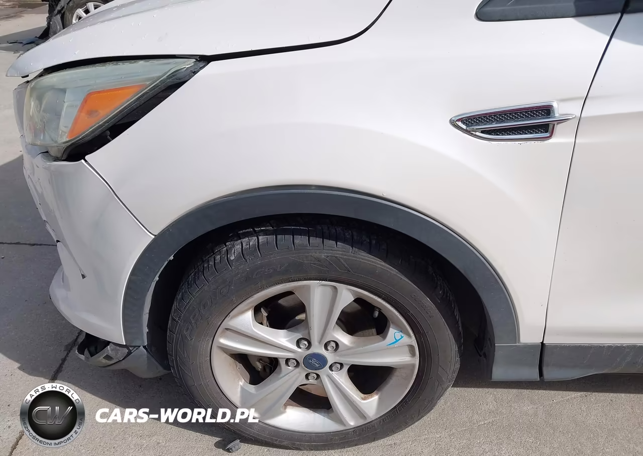 2014 Ford Escape Se VIN:1FMCU0GX8EUB97645 - 6