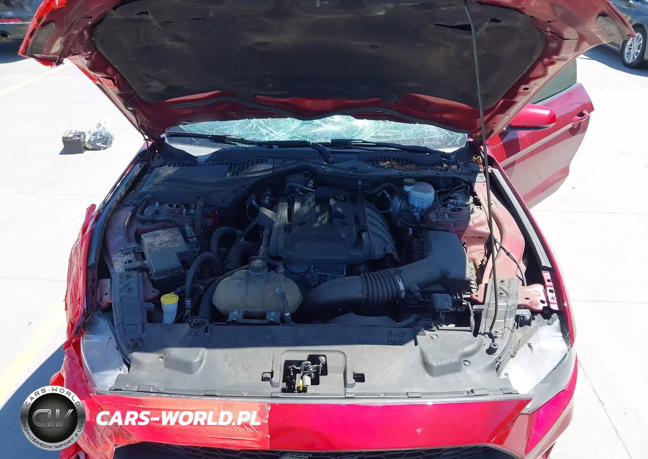 2019 Ford Mustang Ecoboost Premium VIN:1FA6P8TH3K5148404 - 10