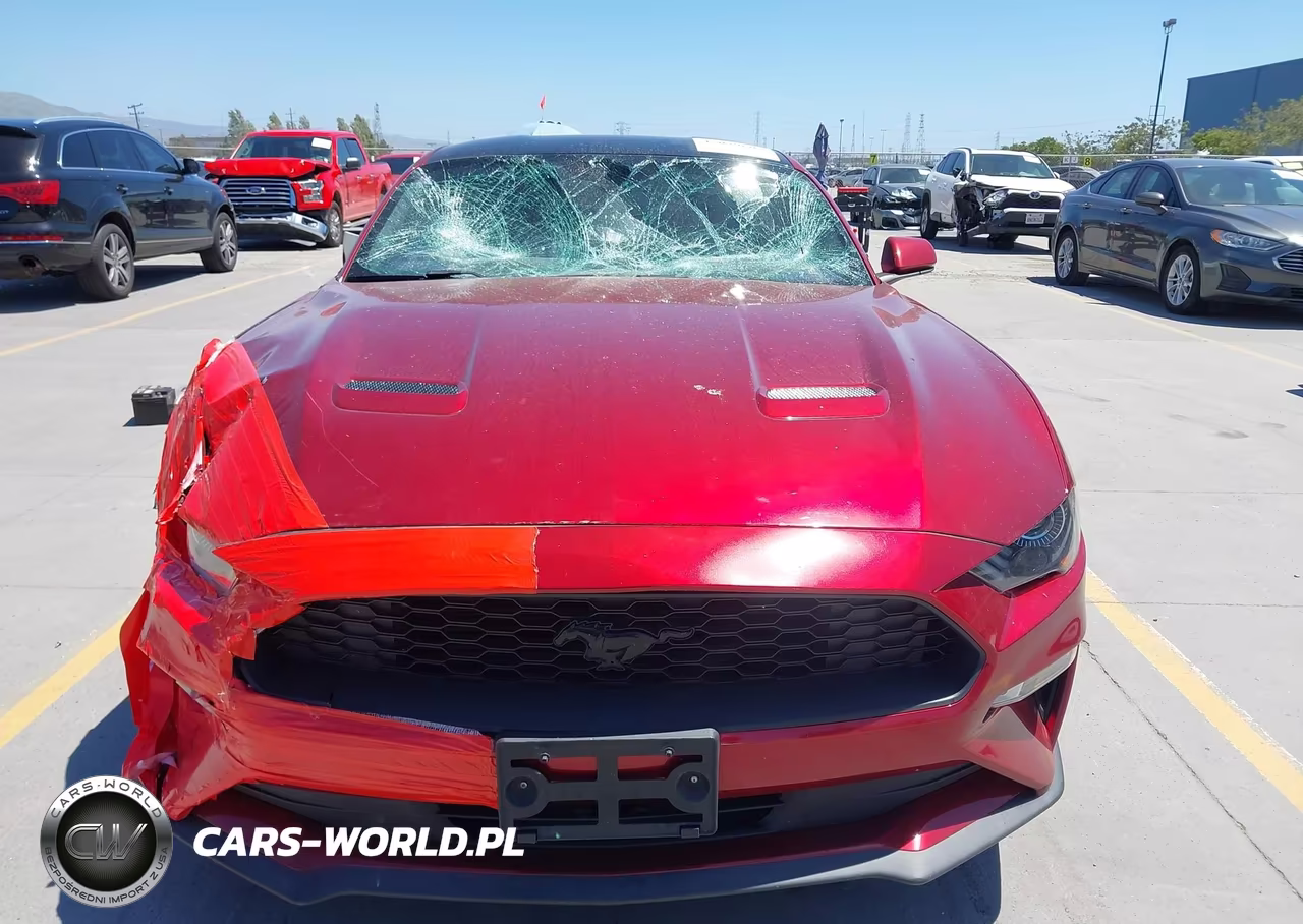 2019 Ford Mustang Ecoboost Premium VIN:1FA6P8TH3K5148404 - 13