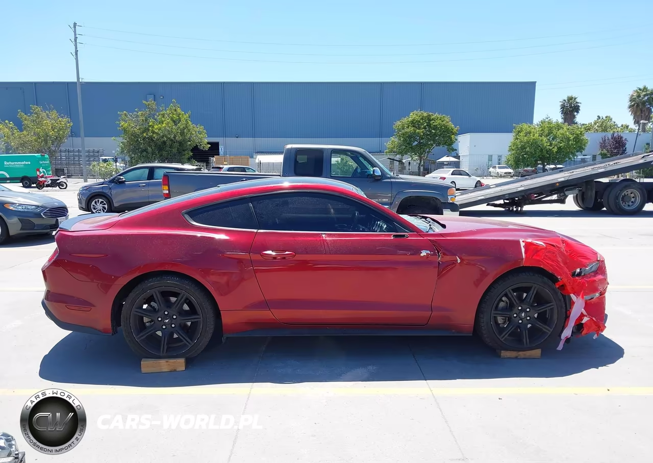 2019 Ford Mustang Ecoboost Premium VIN:1FA6P8TH3K5148404 - 14