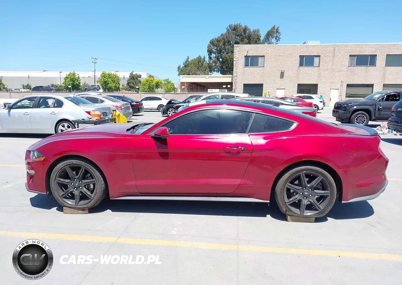 2019 Ford Mustang Ecoboost Premium VIN:1FA6P8TH3K5148404 - 15