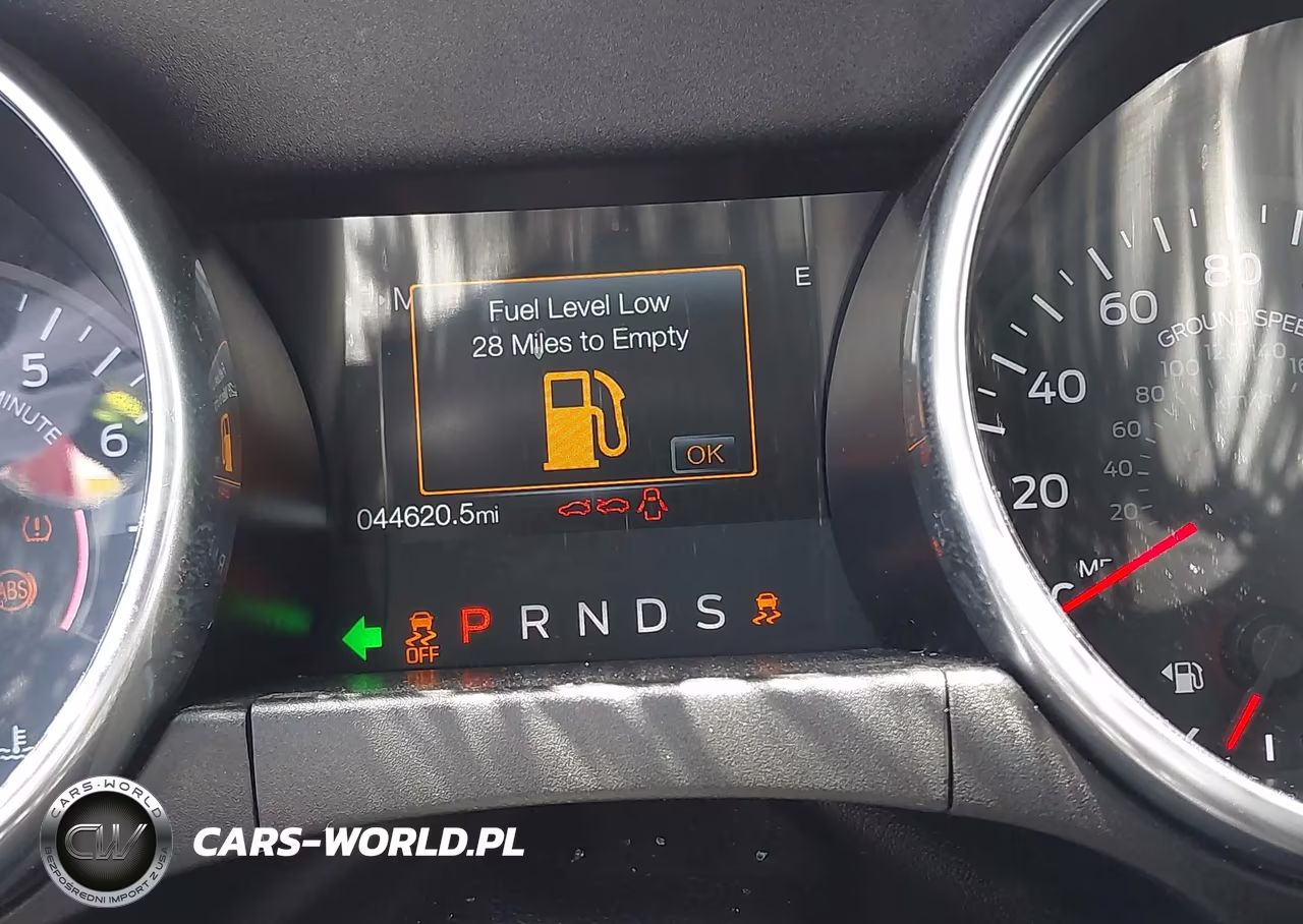 2019 Ford Mustang Ecoboost Premium VIN:1FA6P8TH3K5148404 - 16