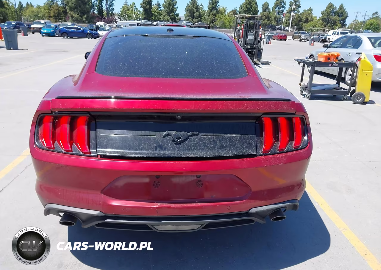 2019 Ford Mustang Ecoboost Premium VIN:1FA6P8TH3K5148404 - 17