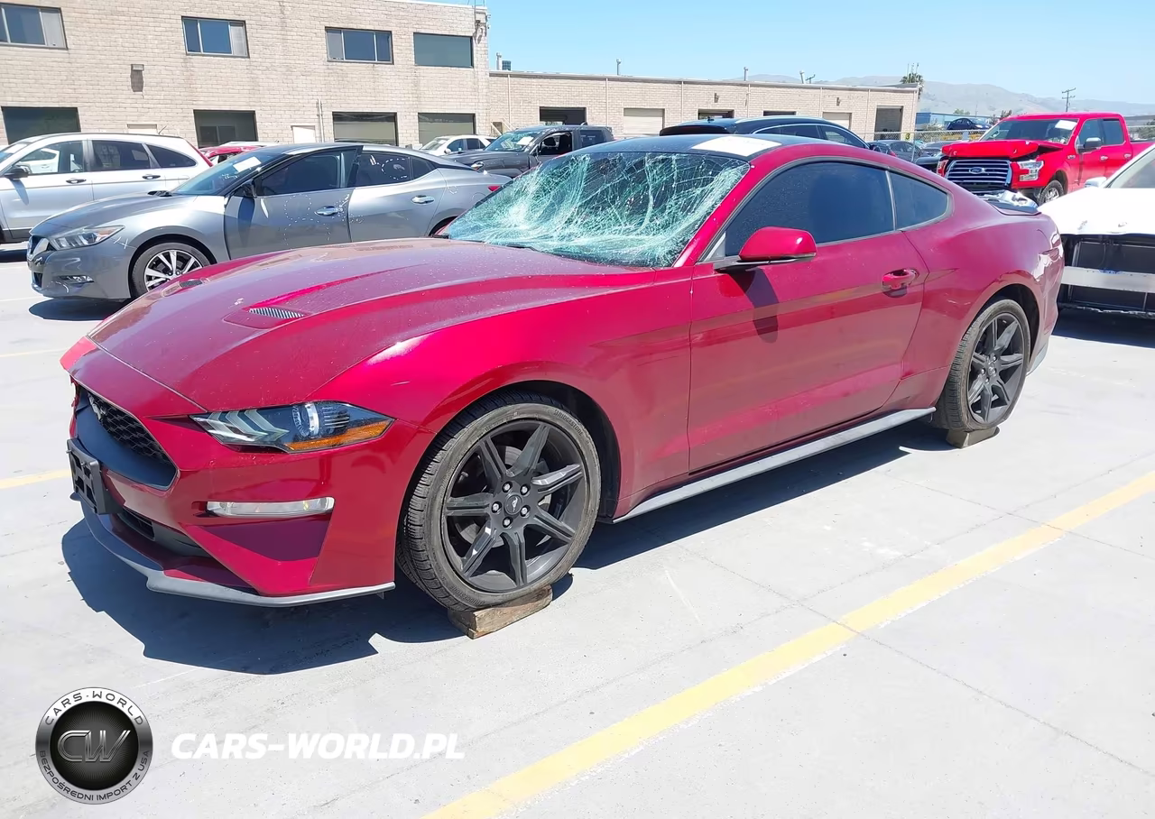 2019 Ford Mustang Ecoboost Premium VIN:1FA6P8TH3K5148404 - 2