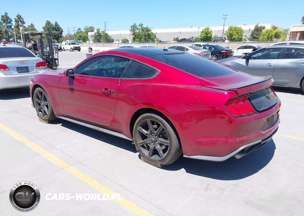 2019 Ford Mustang Ecoboost Premium VIN:1FA6P8TH3K5148404 - 3