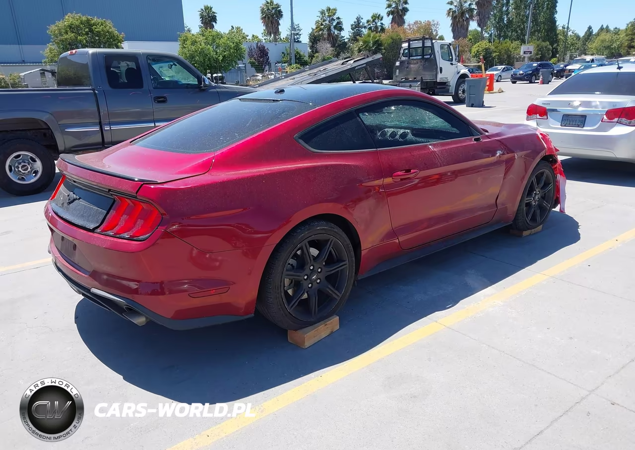 2019 Ford Mustang Ecoboost Premium VIN:1FA6P8TH3K5148404 - 4