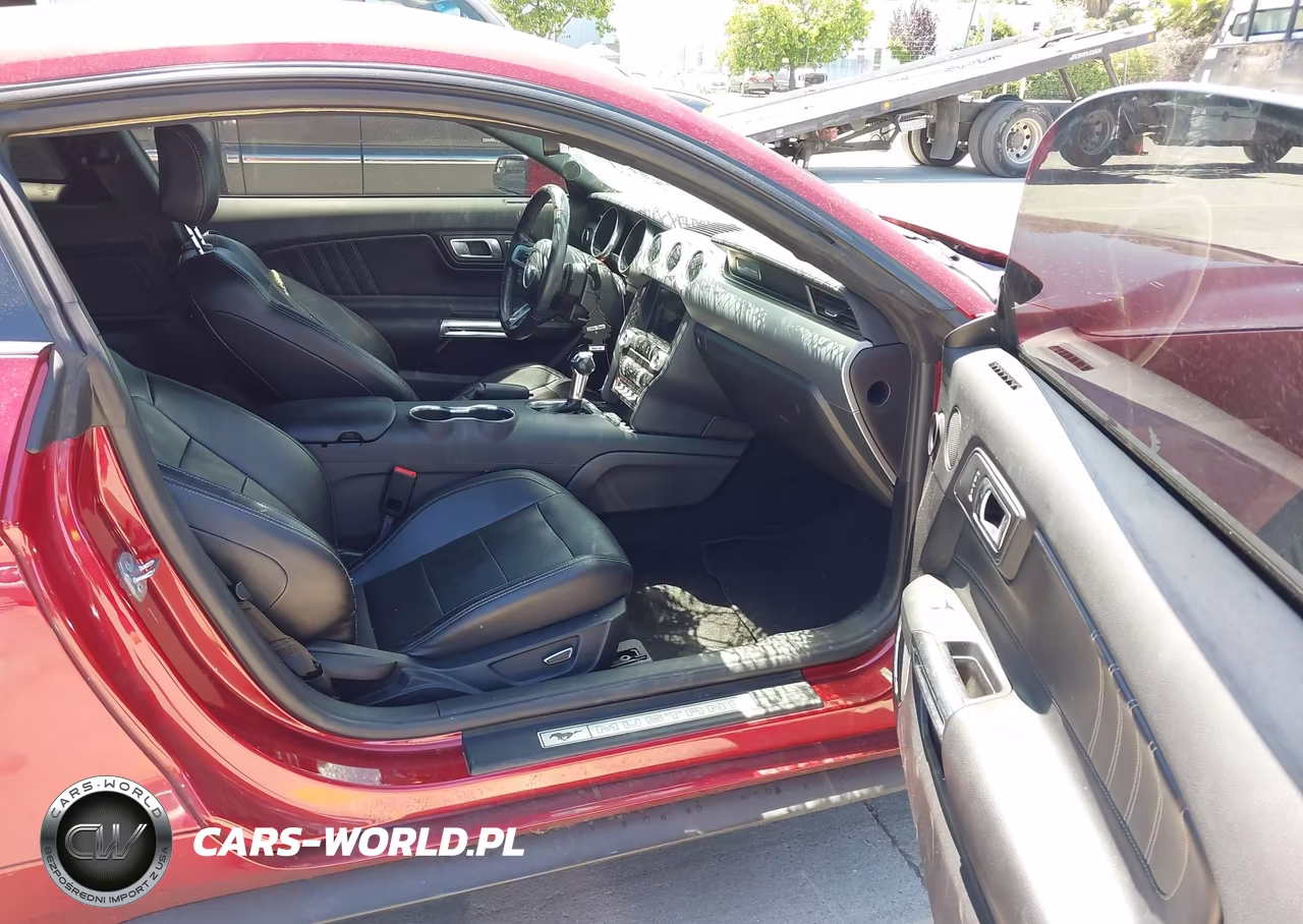 2019 Ford Mustang Ecoboost Premium VIN:1FA6P8TH3K5148404 - 5