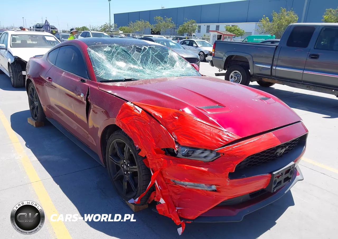 2019 Ford Mustang Ecoboost Premium VIN:1FA6P8TH3K5148404 - 6