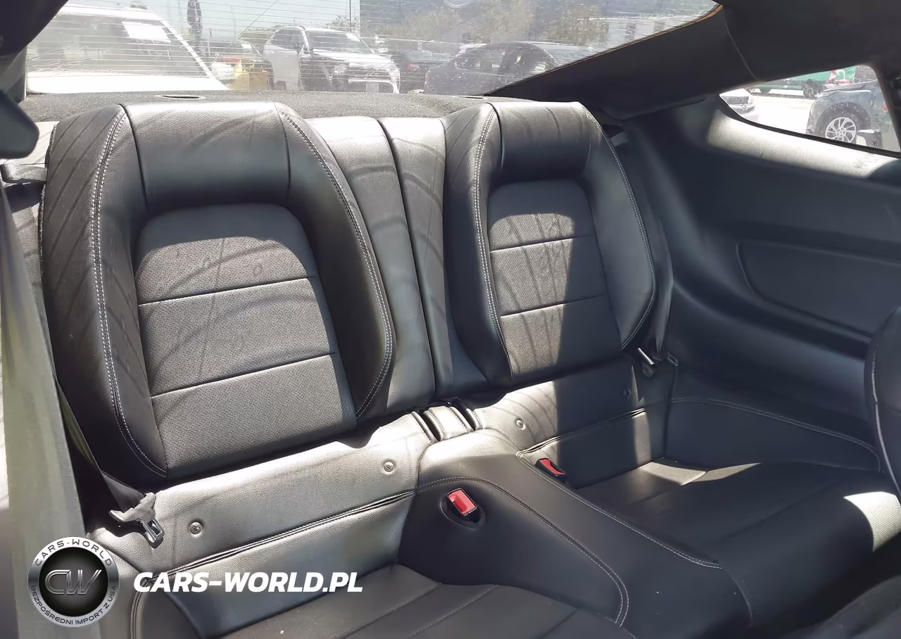 2019 Ford Mustang Ecoboost Premium VIN:1FA6P8TH3K5148404 - 8