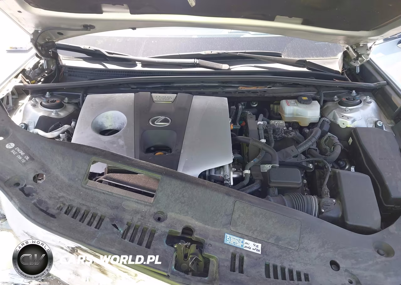2020 Lexus Es 300H VIN:58AD21B10LU005210 - 10