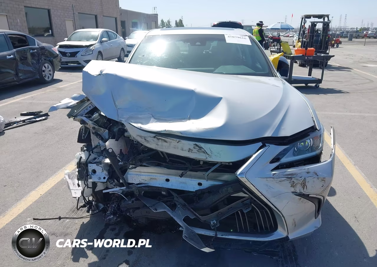 2020 Lexus Es 300H VIN:58AD21B10LU005210 - 12