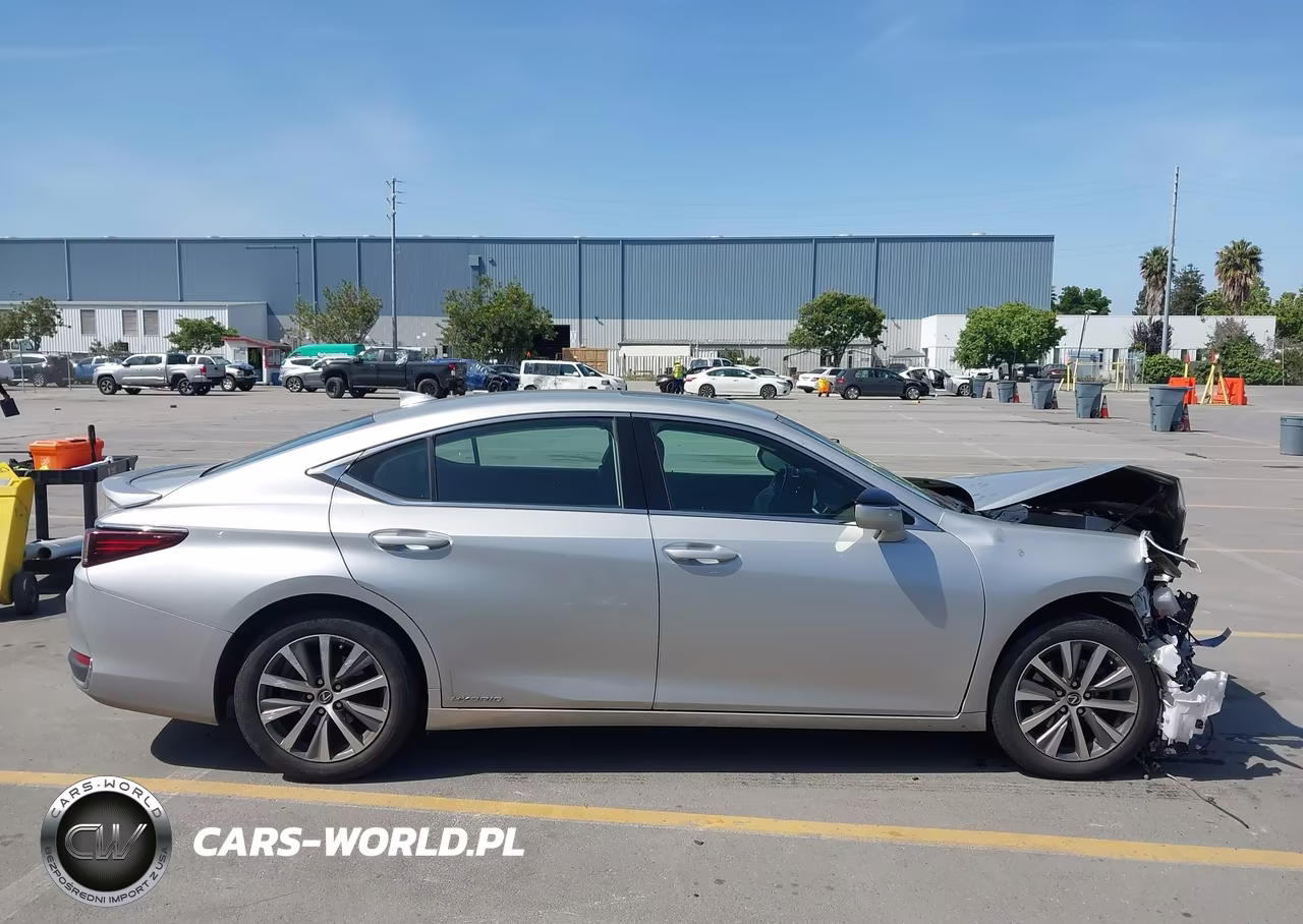 2020 Lexus Es 300H VIN:58AD21B10LU005210 - 13