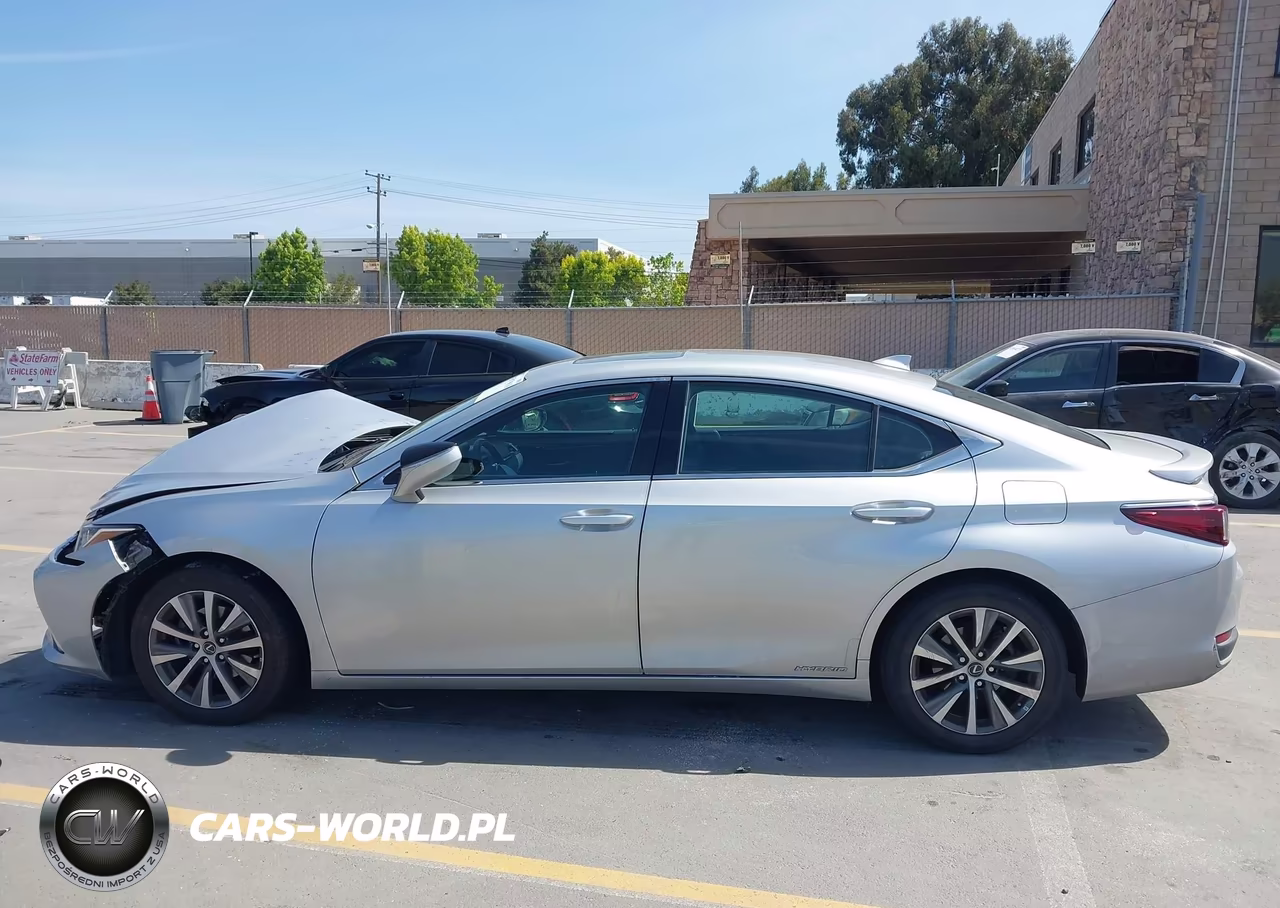 2020 Lexus Es 300H VIN:58AD21B10LU005210 - 14