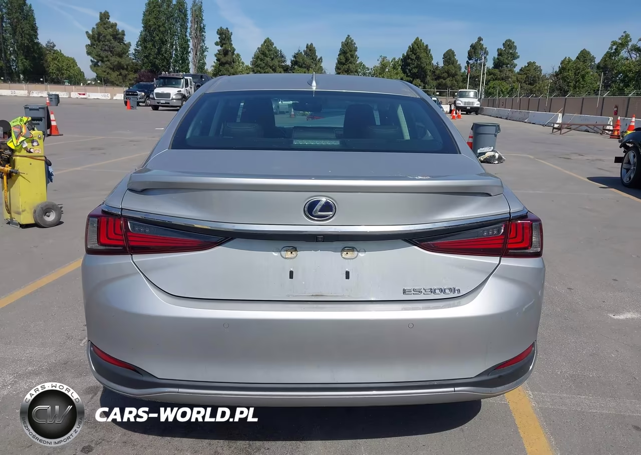 2020 Lexus Es 300H VIN:58AD21B10LU005210 - 16