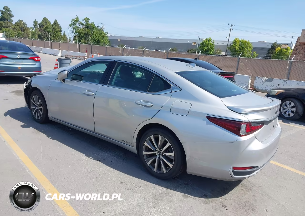 2020 Lexus Es 300H VIN:58AD21B10LU005210 - 3