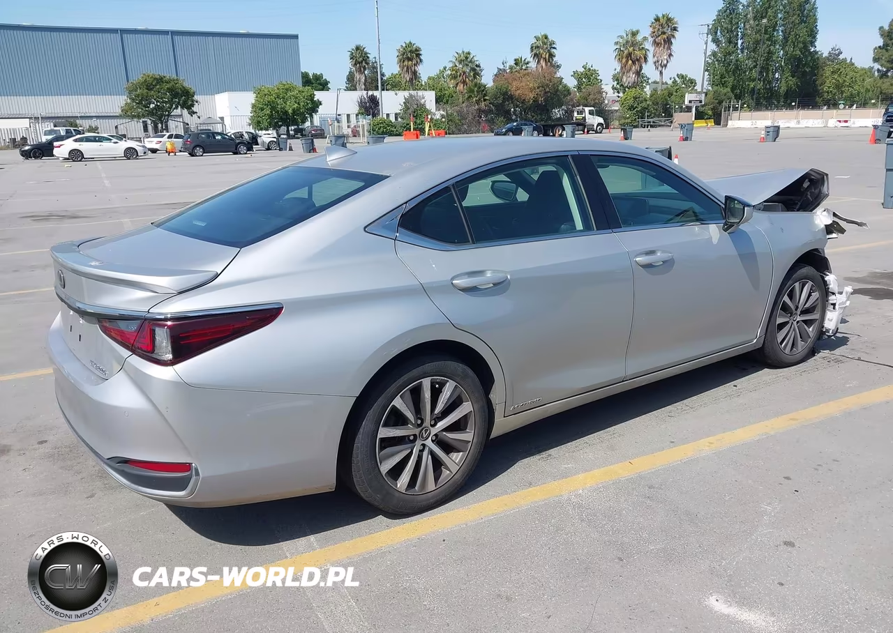 2020 Lexus Es 300H VIN:58AD21B10LU005210 - 4