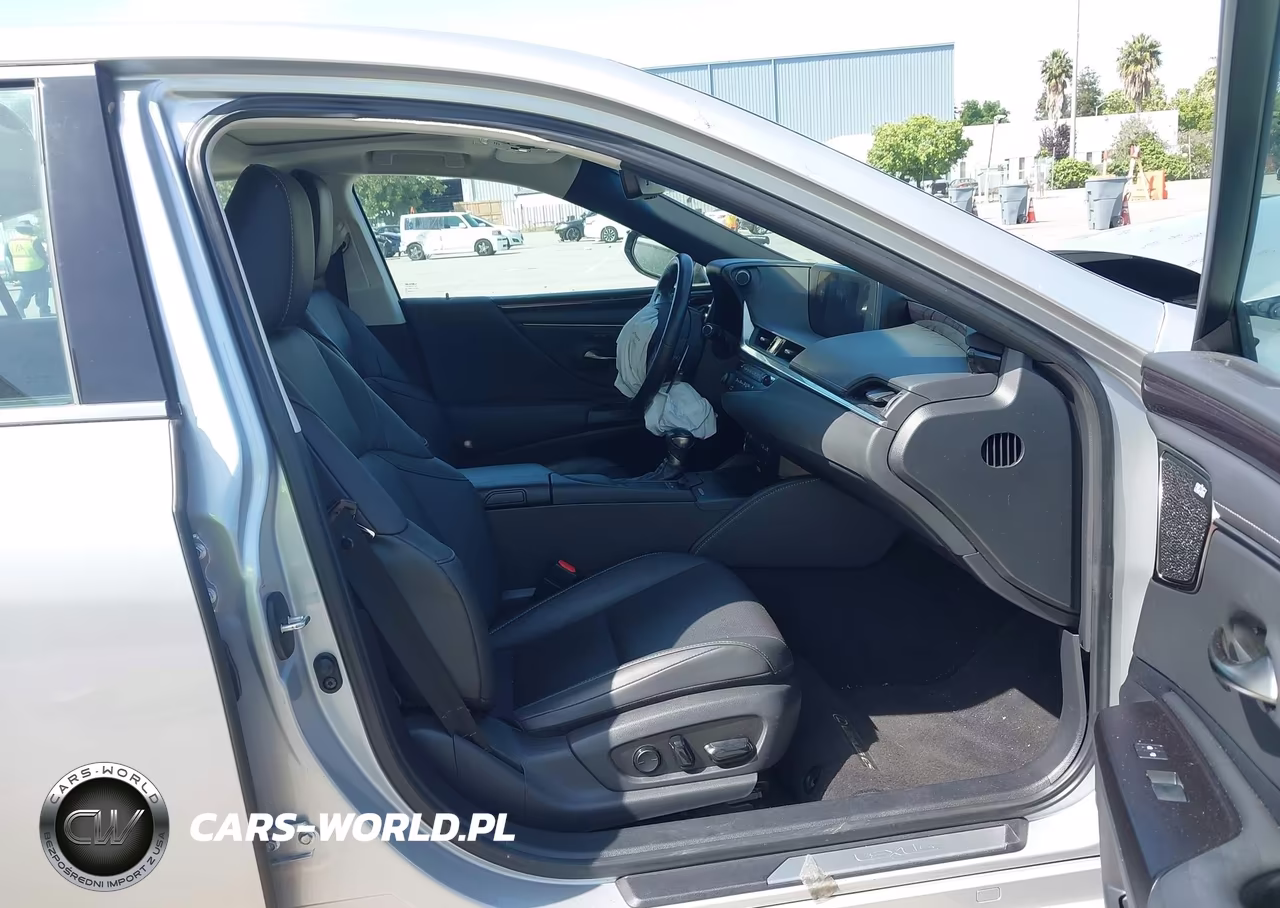 2020 Lexus Es 300H VIN:58AD21B10LU005210 - 5