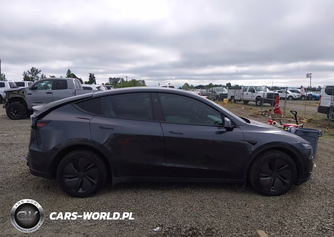 2026 Tesla Model Y All-Wheel Drive-Long Range Launch Series-Premium All-Wheel Drive VIN:7SAYGDEE5TF454862 - 13