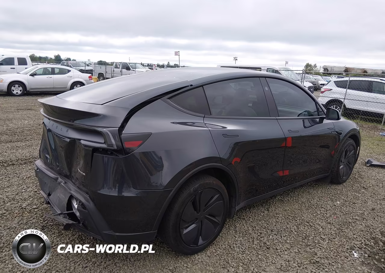 2026 Tesla Model Y All-Wheel Drive-Long Range Launch Series-Premium All-Wheel Drive VIN:7SAYGDEE5TF454862 - 4