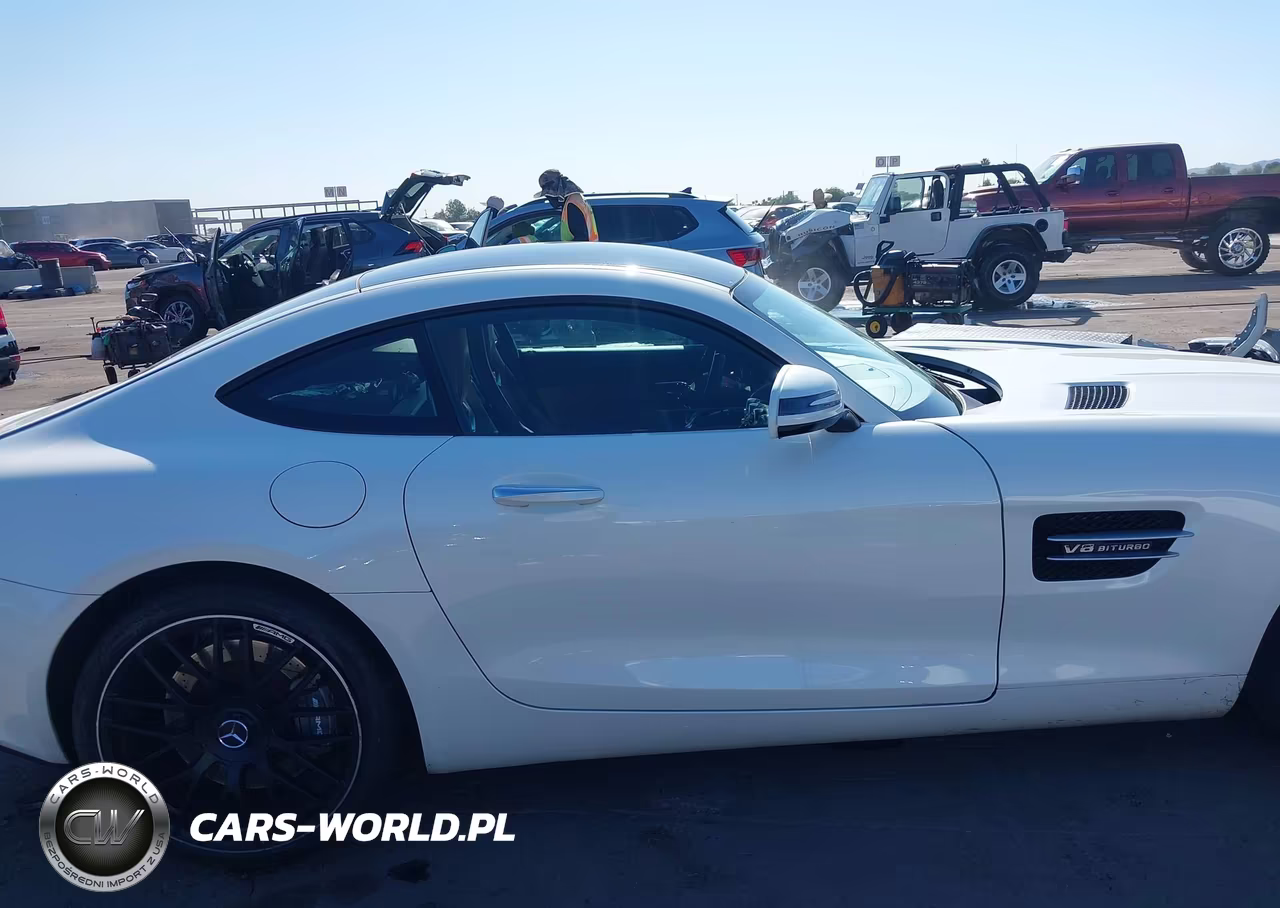 2017 Mercedes-Benz Amg Gt VIN:WDDYJ7HA4HA012234 - 13