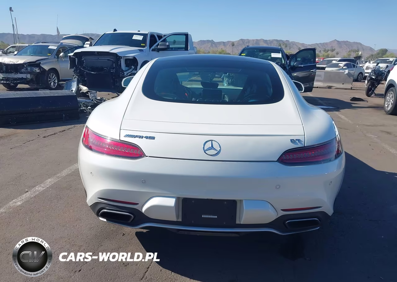 2017 Mercedes-Benz Amg Gt VIN:WDDYJ7HA4HA012234 - 16