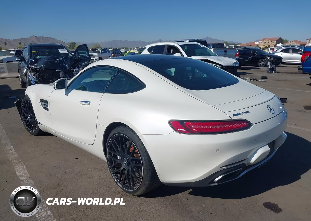 2017 Mercedes-Benz Amg Gt VIN:WDDYJ7HA4HA012234 - 3