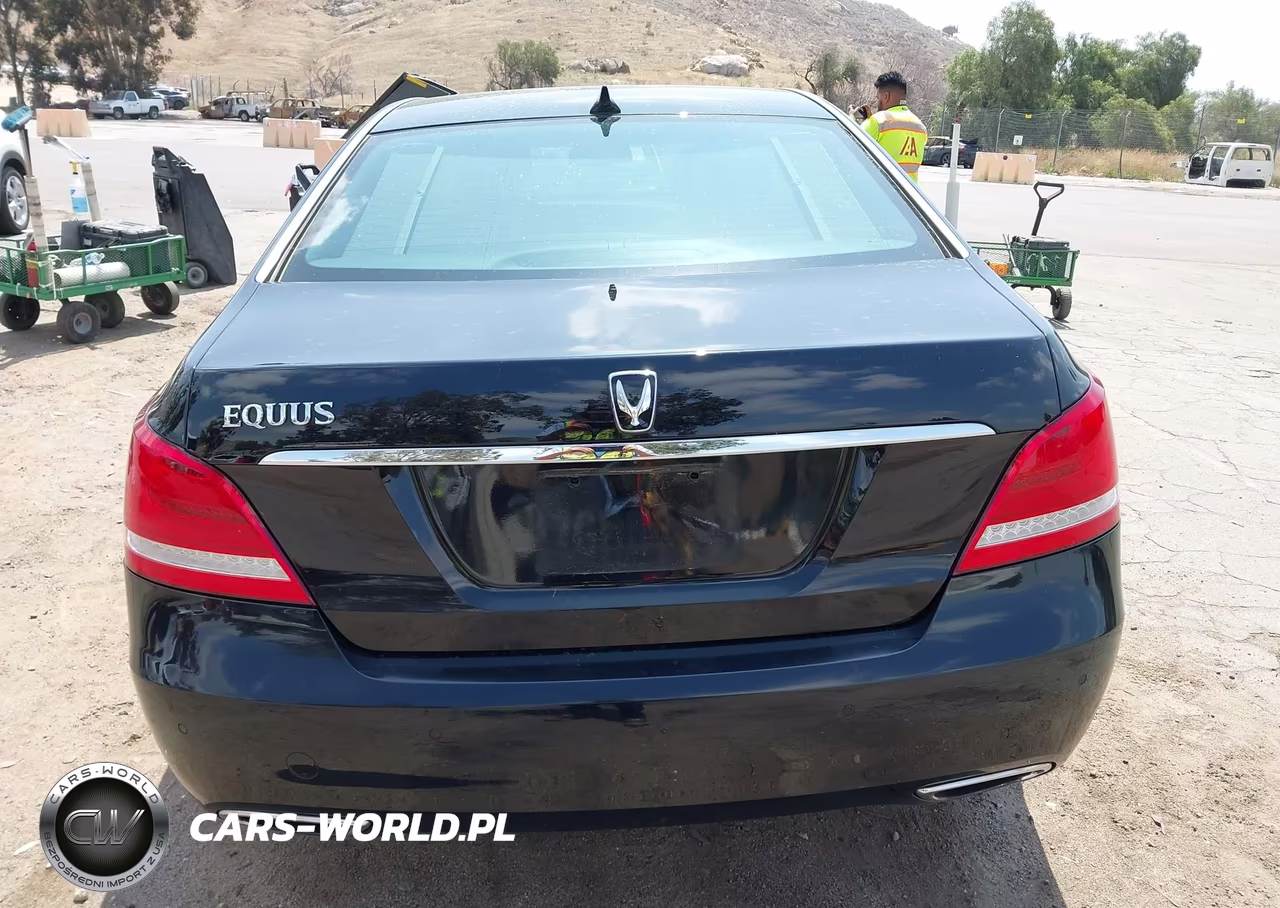 2014 Hyundai Equus Ultimate VIN:KMHGH4JH5EU089238 - 16