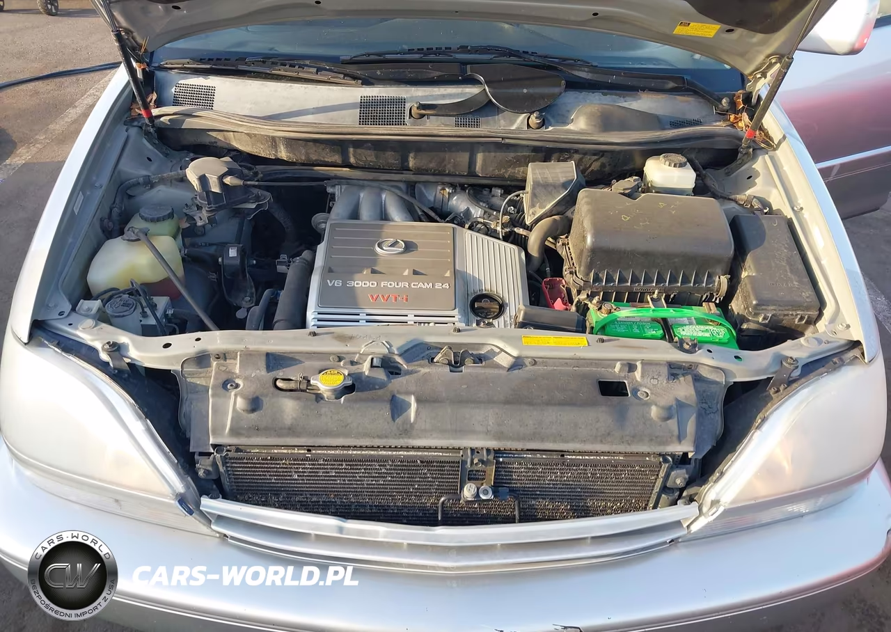 2001 Lexus Rx 300 VIN:JTJHF10U810212475 - 10