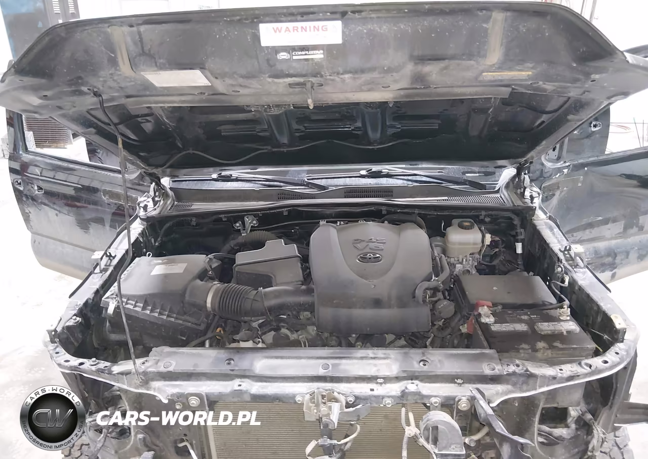 2019 Toyota Tacoma Trd Pro VIN:5TFCZ5AN5KX209769 - 10