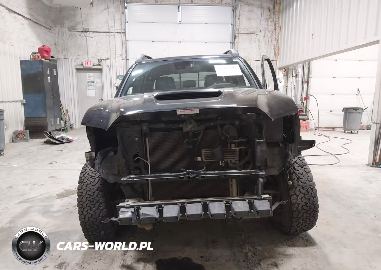 2019 Toyota Tacoma Trd Pro VIN:5TFCZ5AN5KX209769 - 13