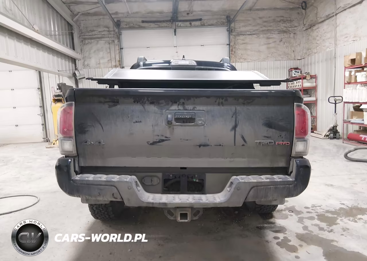 2019 Toyota Tacoma Trd Pro VIN:5TFCZ5AN5KX209769 - 17