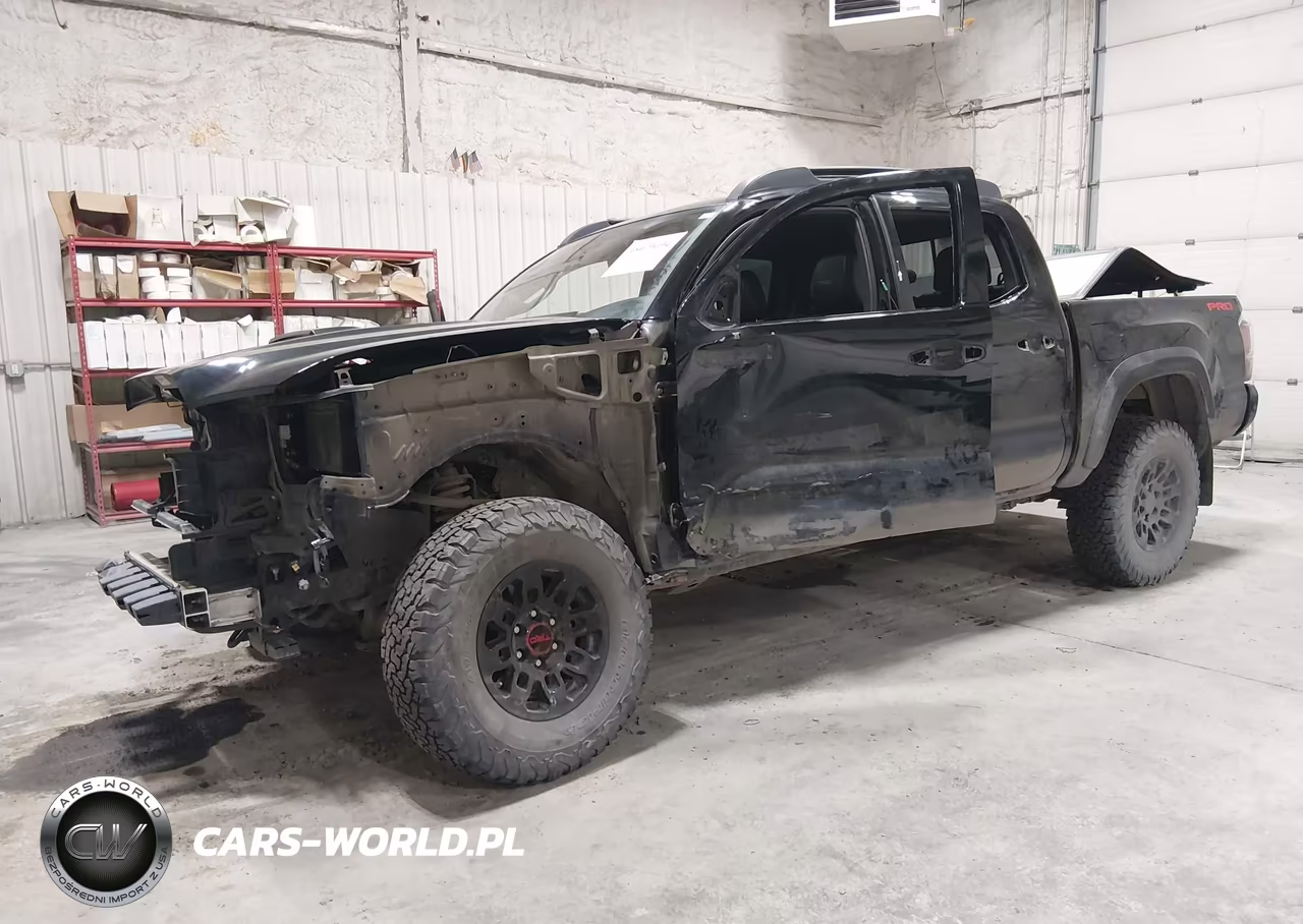 2019 Toyota Tacoma Trd Pro VIN:5TFCZ5AN5KX209769 - 2