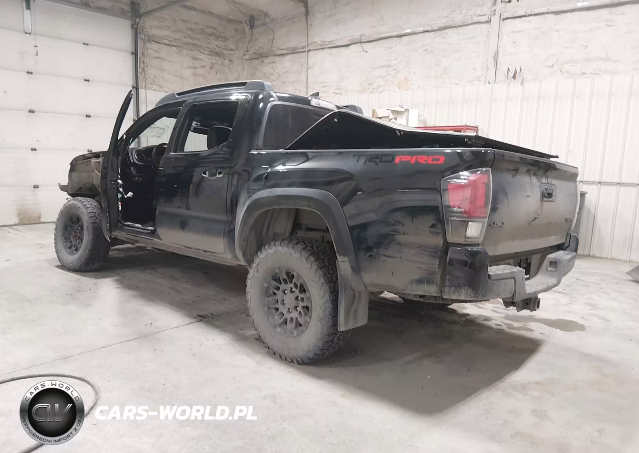 2019 Toyota Tacoma Trd Pro VIN:5TFCZ5AN5KX209769 - 3