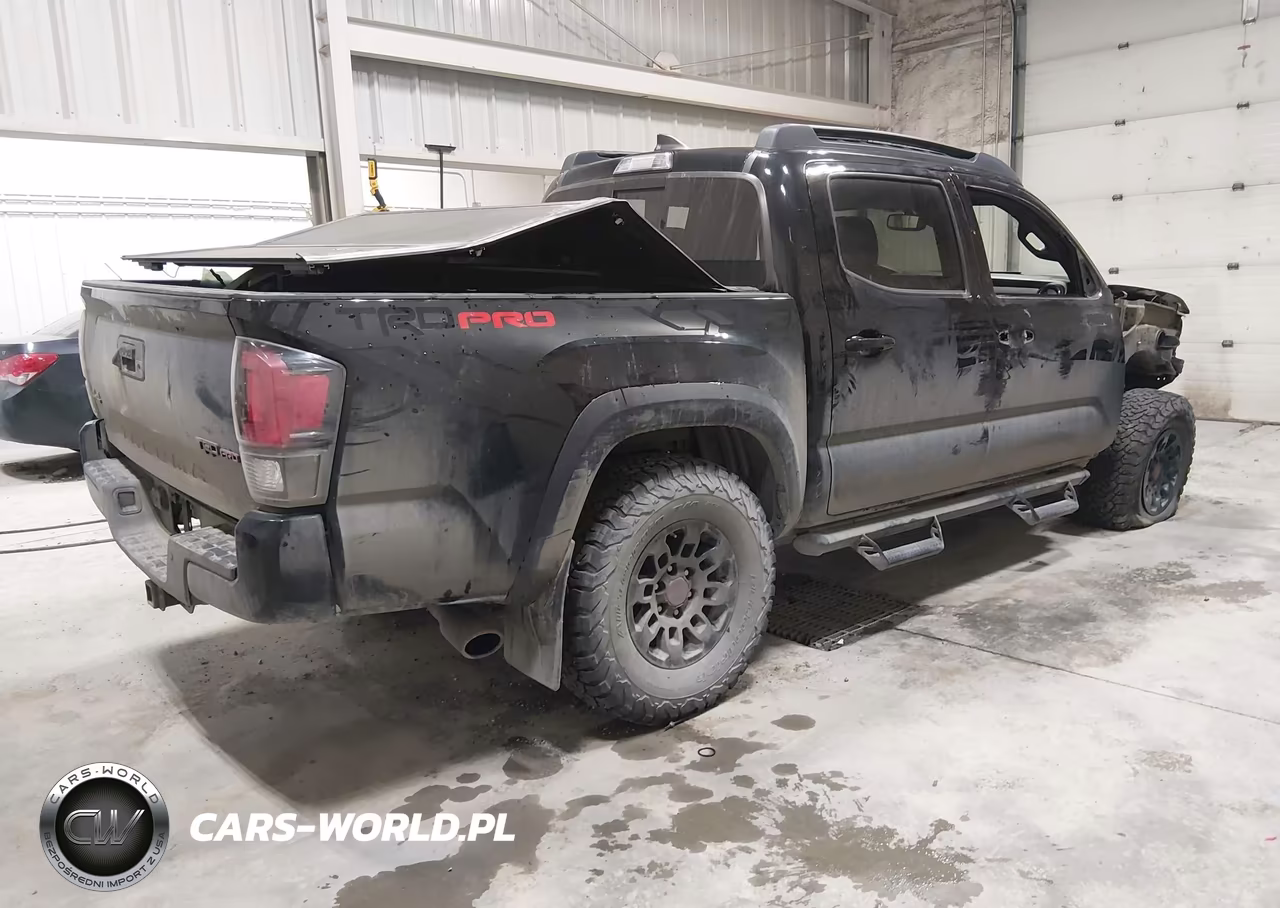 2019 Toyota Tacoma Trd Pro VIN:5TFCZ5AN5KX209769 - 4
