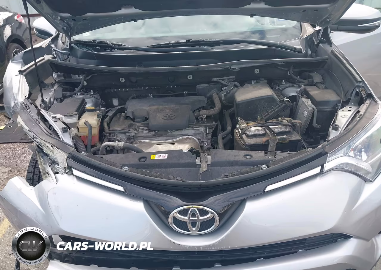 2016 Toyota Rav4 Xle VIN:2T3WFREV6GW309690 - 10