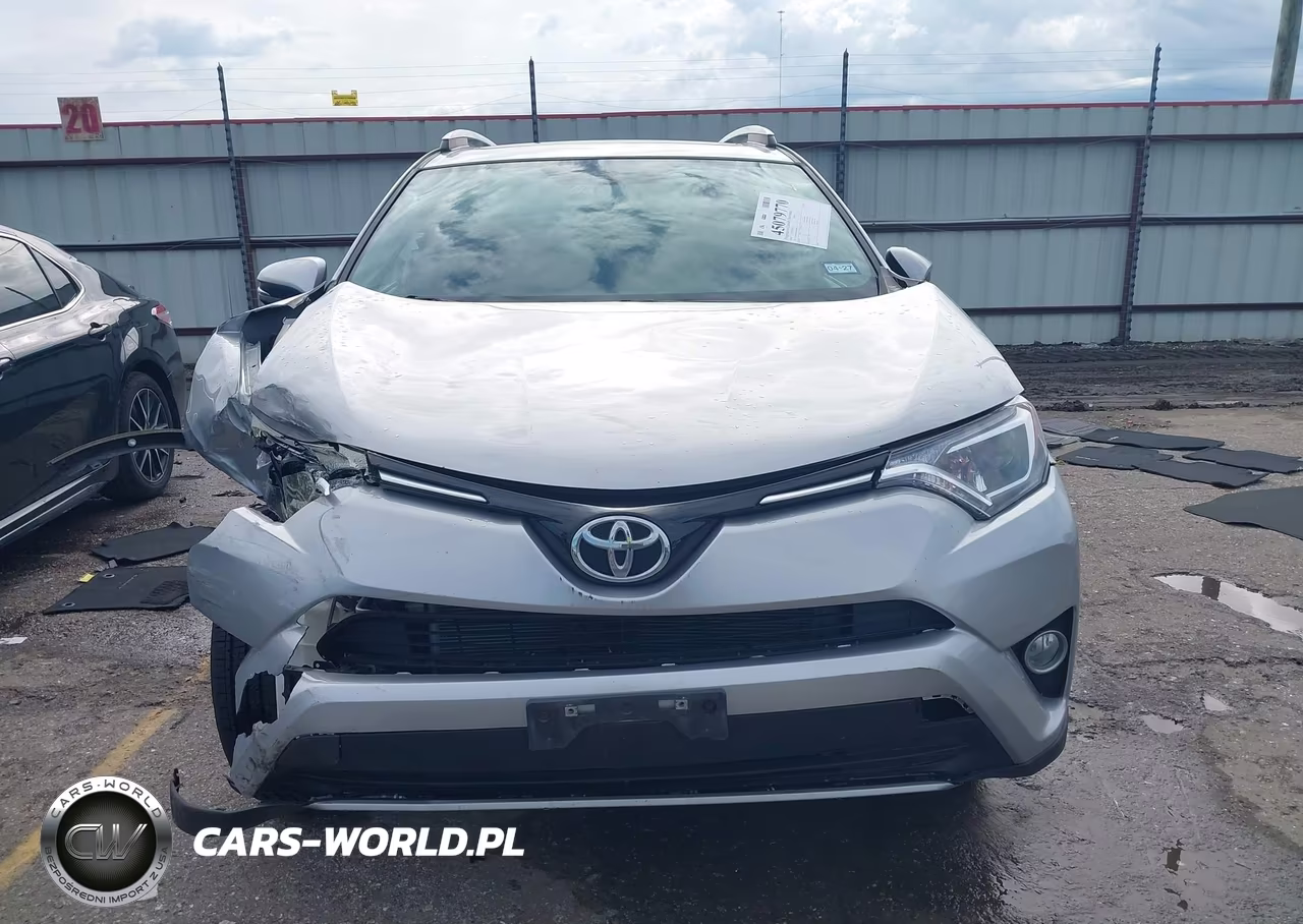 2016 Toyota Rav4 Xle VIN:2T3WFREV6GW309690 - 12