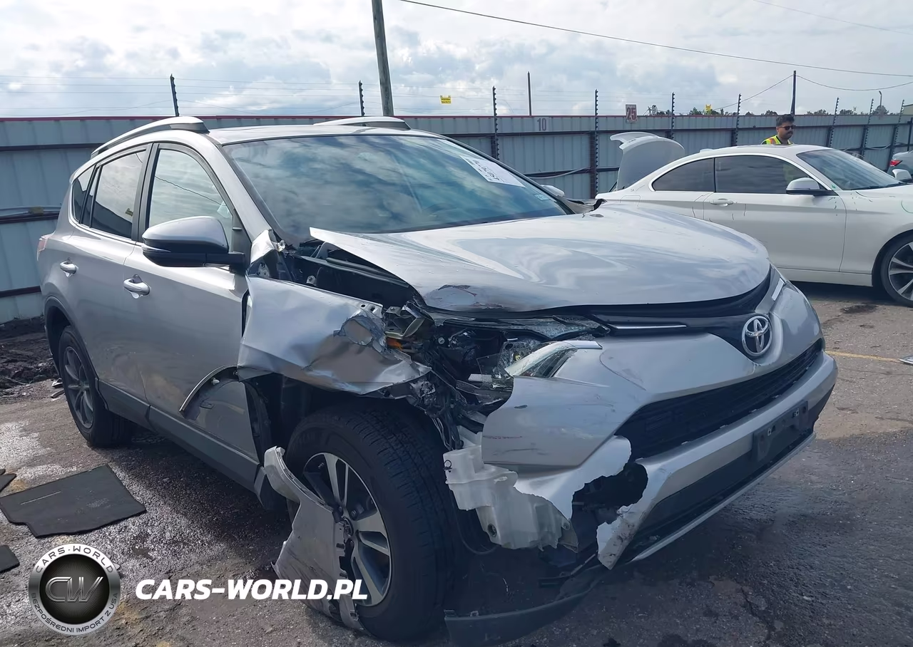 2016 Toyota Rav4 Xle VIN:2T3WFREV6GW309690 - 6