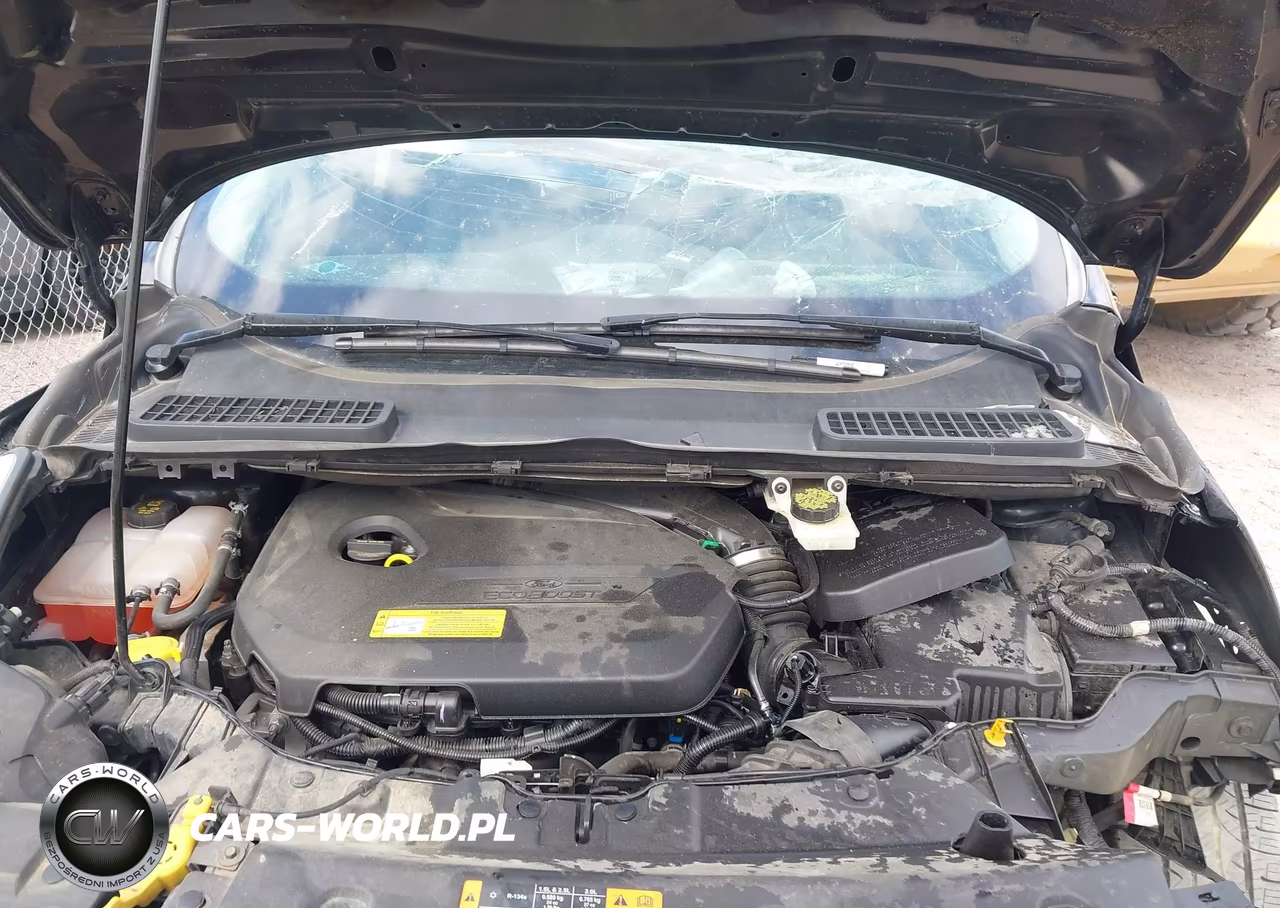 2014 Ford Escape Se VIN:1FMCU0GX0EUA22273 - 10