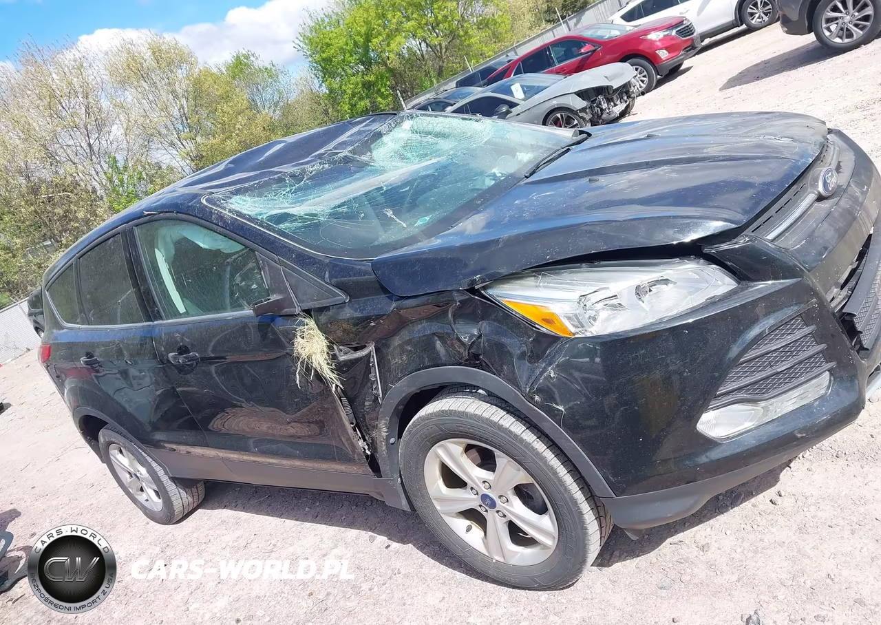 2014 Ford Escape Se VIN:1FMCU0GX0EUA22273 - 14