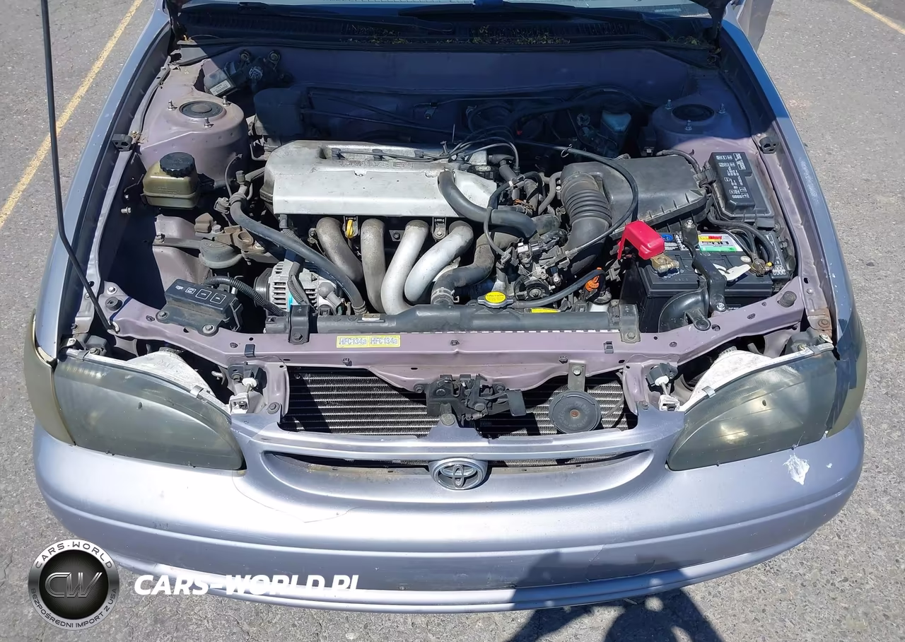 1998 Toyota Corolla Le VIN:1NXBR18E8WZ006730 - 10