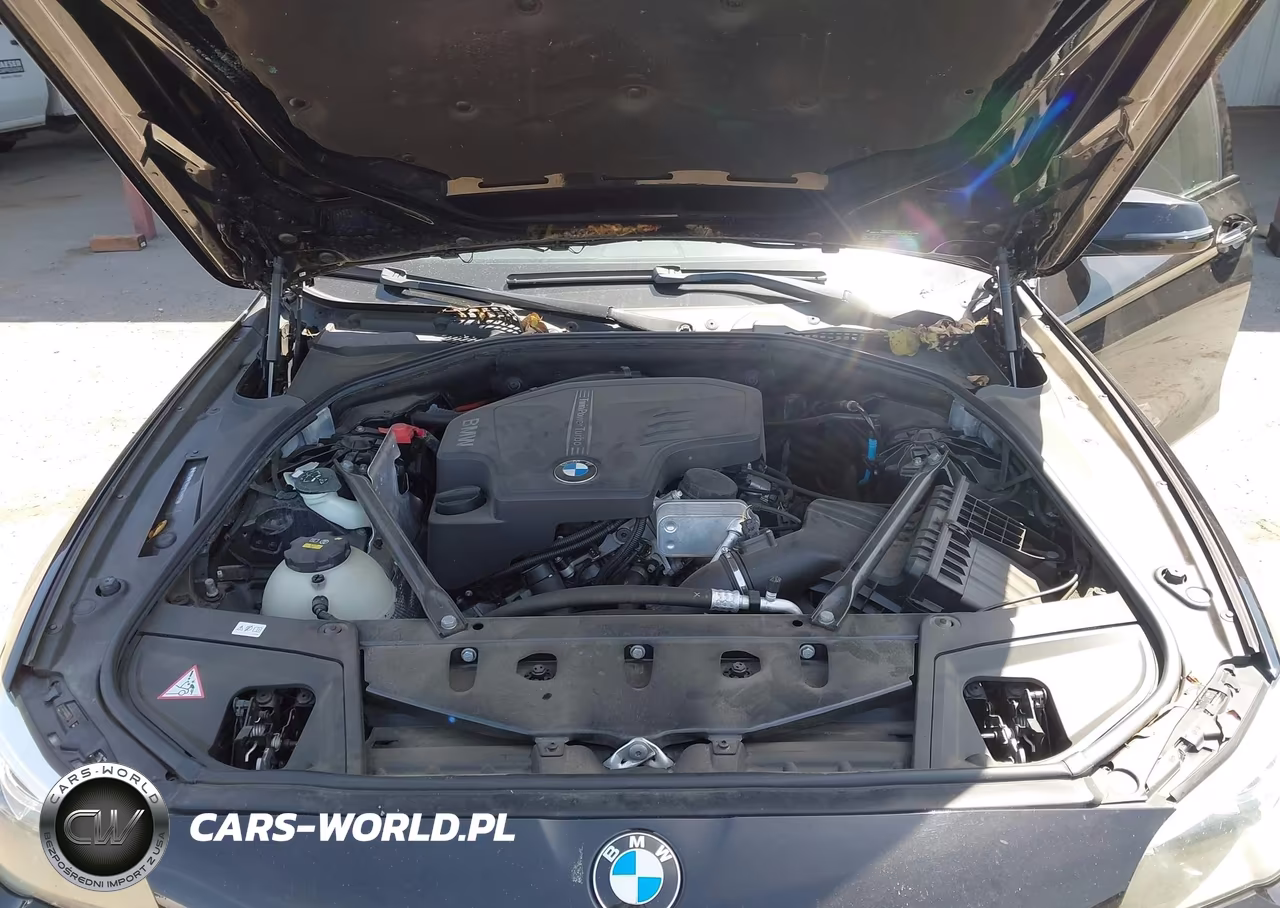 2016 BMW 528I xDrive VIN:WBA5A7C59GG144907 - 10
